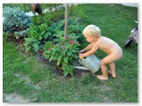 maly zahradnik