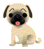 cani