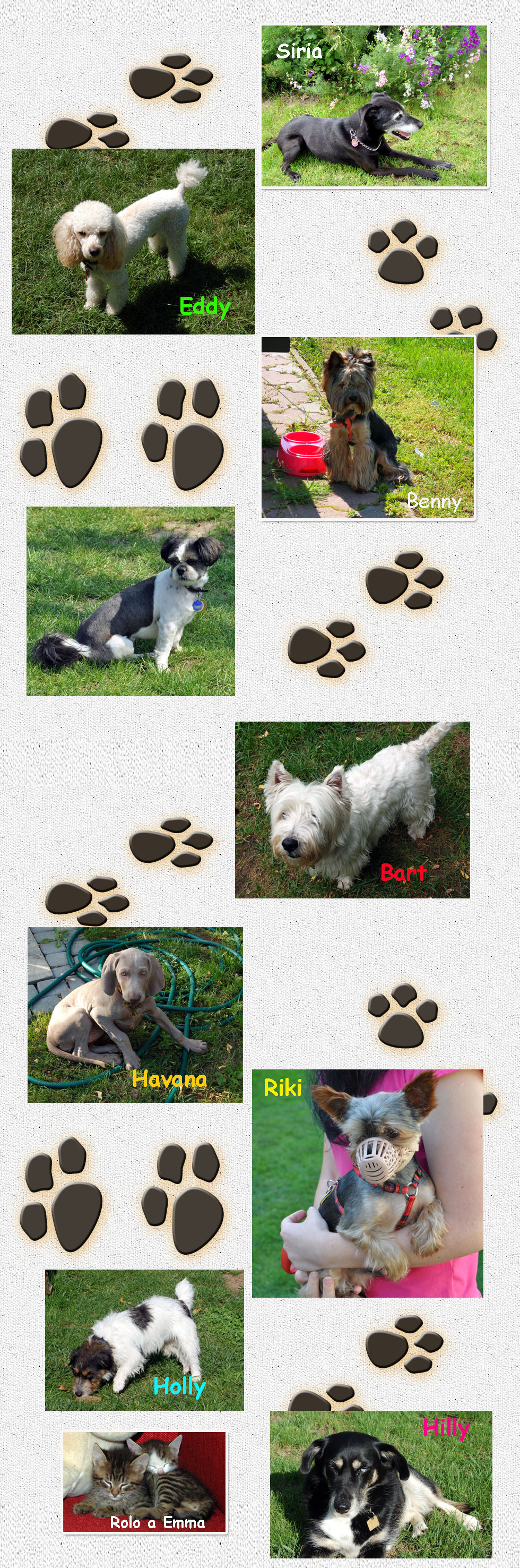cani